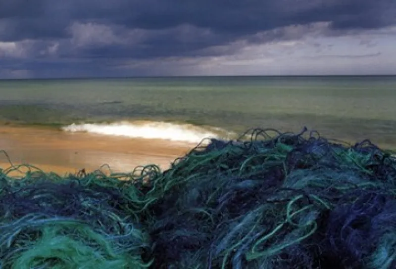 "VID HAVET...."