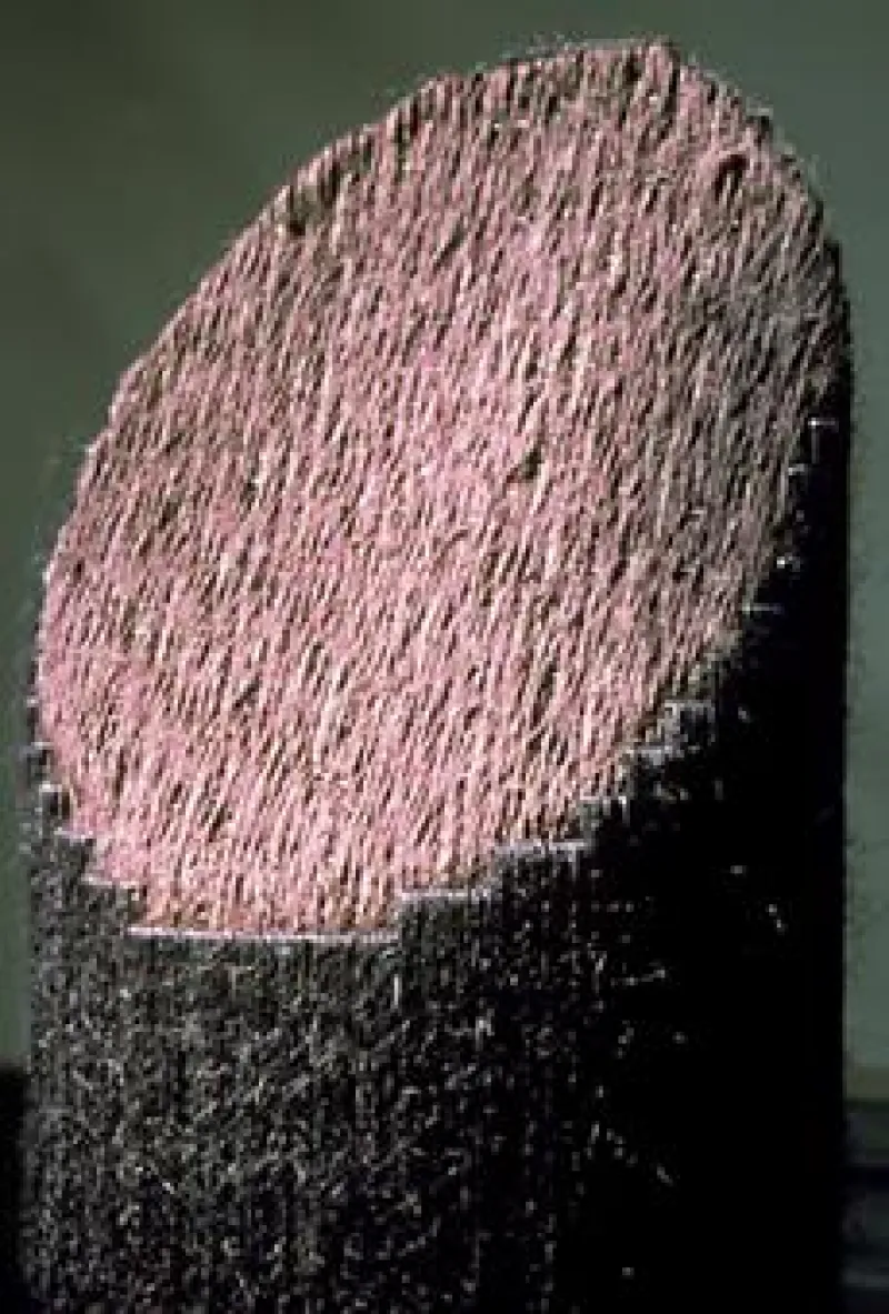 "SJU ANDROGYNER (DETALJ)"