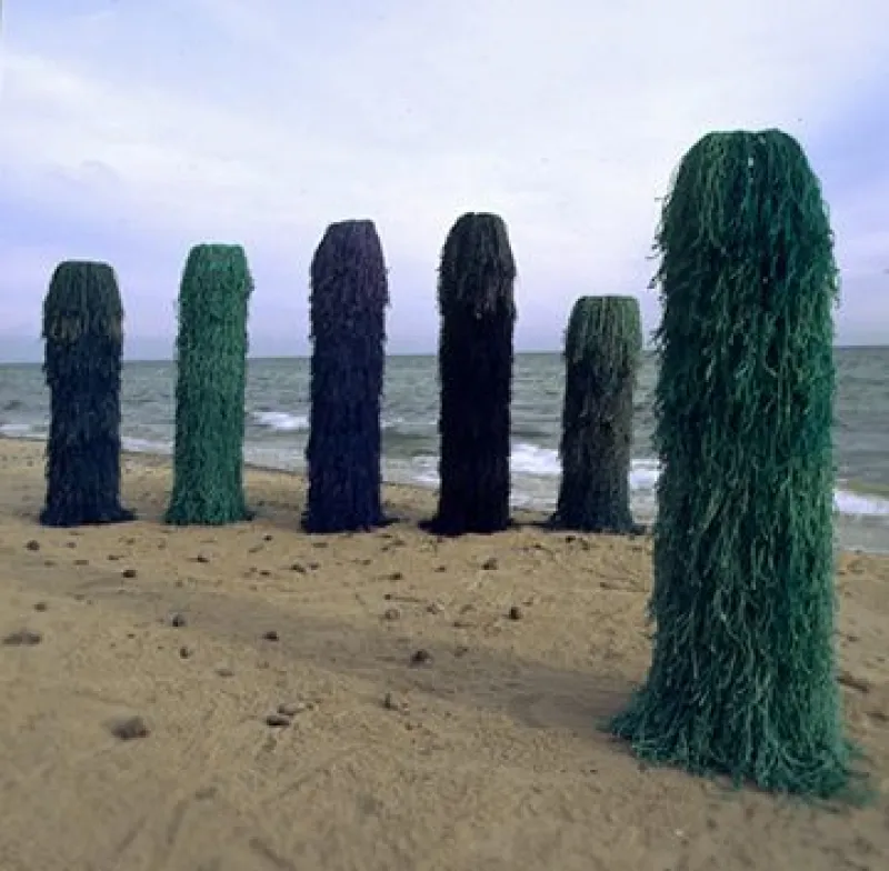 SEX PELARE