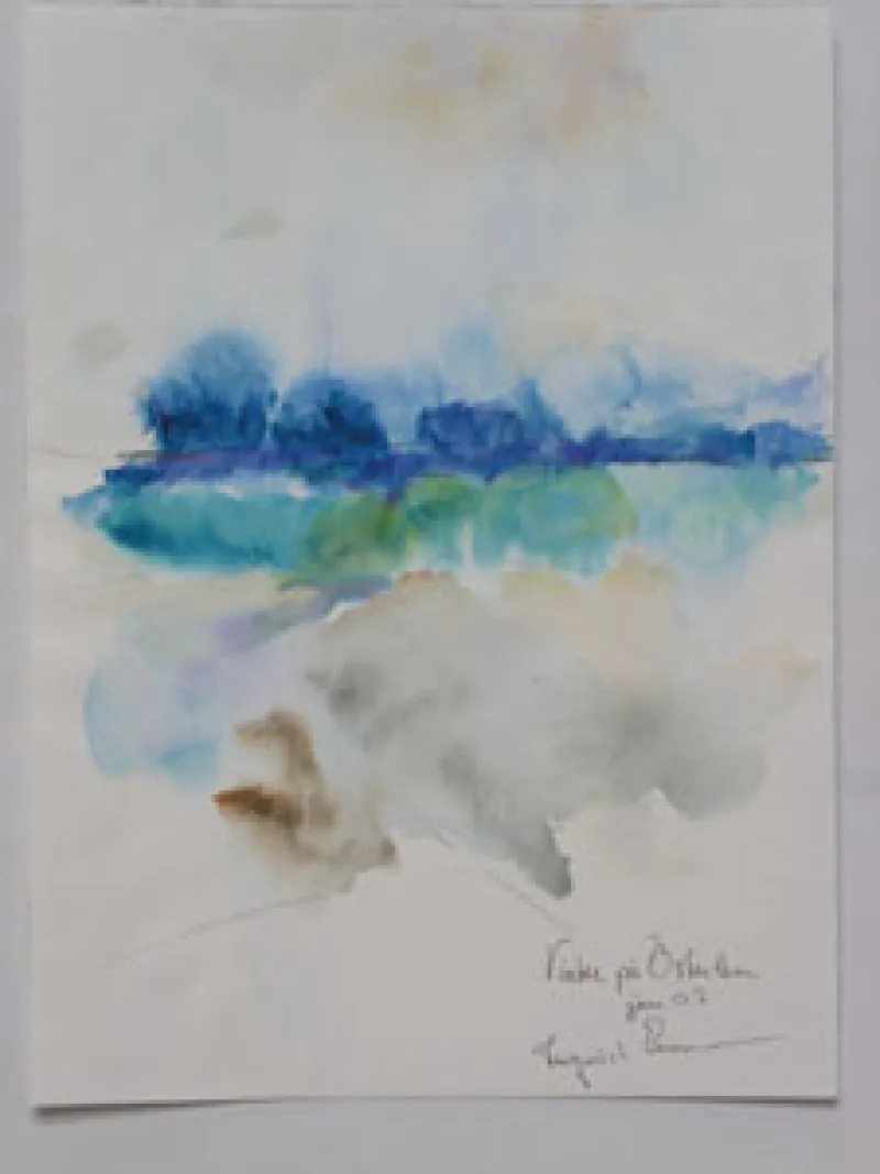 Akvareller — Ingrid Enarsson